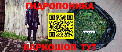 spice Берёзовский
