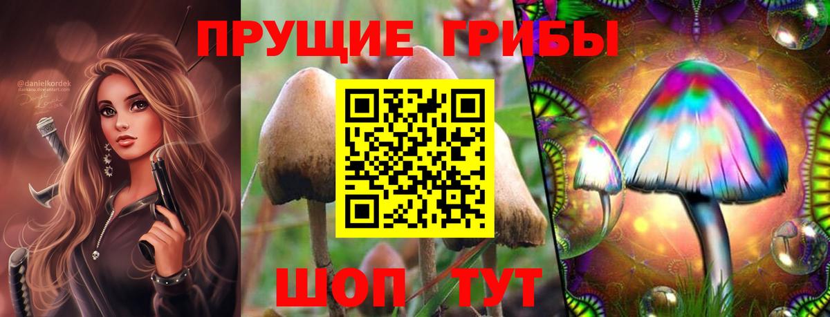 Кинель  Галлюциногенные грибы Magic Shrooms  Вход с VPN  Галлюциногенные грибы Magic Shrooms 